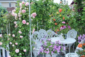 Khu vườn tràn ngập sắc hoa, đẹp như cổ tích của mẹ Việt ở Hà Lan