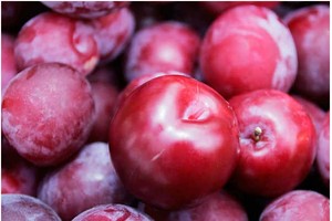 7 lợi ích tuyệt vời của của mận đối với sức khỏe