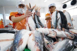 9 tháng, Hùng Vương (HVG) lỗ ròng 138 tỷ đồng, hàng tồn kho hơn 3.900 tỷ đồng