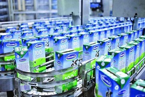 9 tháng, Vinamilk (VNM) ước lãi 8.545 tỷ đồng