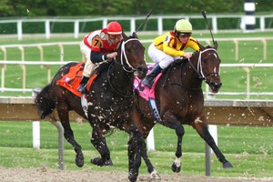 Top 10 cổ phiếu tăng/giảm mạnh nhất tuần: Cổ phiếu nhỏ và vừa vào cuộc đua mới