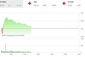 Phiên sáng 27/10: Cổ phiếu đầu cơ trở lại