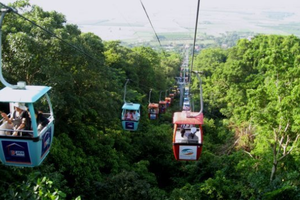 TCT chốt danh sách cổ đông trả cổ tức 27% bằng tiền mặt