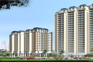 Địa ốc Cao su (RCD) gây bất ngờ khi tạm ứng cổ tức 50% bằng tiền mặt