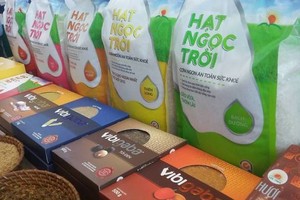 Lộc Trời (LTG) tiếp tục trả cổ tức 15% bằng tiền mặt