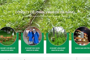 Vinafor Đà Nẵng bị phạt 60 triệu đồng