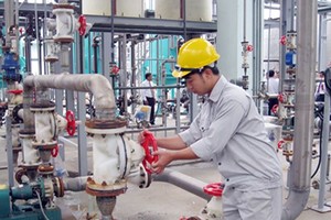 CSV xin ý kiến cổ đông về dự án thuê đất tại Khu công nghiệp Nhơn Trạch 6