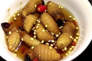 Rùng mình 5 món ăn sống ở Việt Nam khiến khách Tây “khiếp sợ”