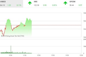 Phiên sáng 17/1: Nhà đầu tư vững lòng tin, VN-Index nhanh chóng trở lại đà tăng