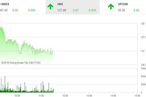 Phiên sáng 24/1: Dòng tiền chờ đợi sàn HOSE