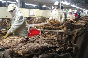 Ngân Sơn (NST) về đích kế hoạch lợi nhuận, đạt 16 tỷ đồng trong năm 2017