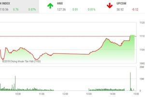 Phiên chiều 30/1: Cổ phiếu bất động sản nổi sóng, VN-Index đảo chiều ngoạn mục