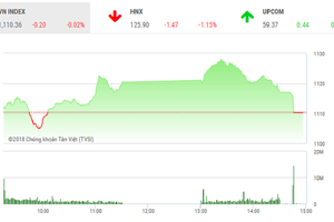 Phiên chiều 31/1: Ồ ạt bán cuối phiên, VN-Index quay đầu mất điểm