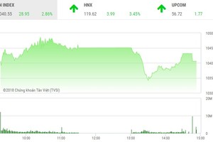 Phiên chiều 7/2: Cổ phiếu đầu cơ đua sóng