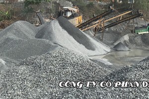 Đá Núi Nhỏ (NNC) chi hơn 150 tỷ đồng trả cổ tức