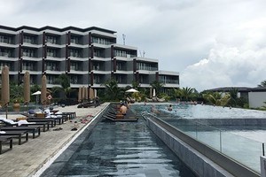 Tập đoàn CEO trả cổ tức 10% bằng tiền mặt