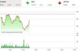 Phiên sáng 24/8: Bluechip bị bán mạnh, VN-Index thoái lui