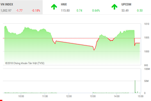 Phiên chiều 21/9: ETF chốt sổ, thị trường giật lùi