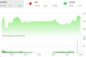 Phiên chiều 24/9: Dòng bank đuối sức, VN-Index vẫn thẳng tiến qua ngưỡng 1.010 điểm