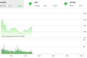 Phiên sáng 1/10: Cổ phiếu P khởi sắc, VN-Index chinh phục mốc 1.020 điểm