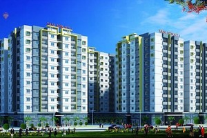 Tanimex (TIX) trả cổ tức 10% bằng tiền mặt và phát hành cổ phiếu, tỷ lệ 22:3