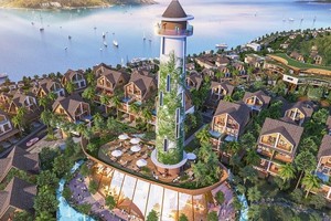 Netland (NRC) trả cổ tức năm 2017, tỷ lệ 20% bằng tiền mặt