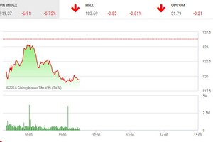 Phiên sáng 9/11: Sắc đỏ bao trùm, VN-Index mất mốc 920 điểm