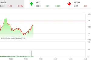 Phiên sáng 23/11: Dòng tiền dè dặt, VN-Index loay hoay tìm hướng đi