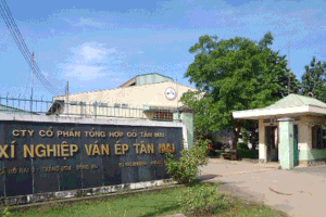 Gỗ Tân Mai (TMW) trả cổ tức 30% bằng tiền mặt