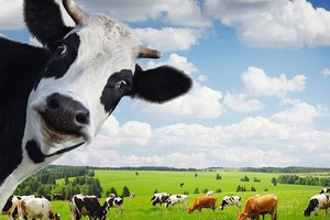 Vinamilk (VNM) tiếp tục chi hơn 1.740 tỷ đồng trả cổ tức đợt 2/2018