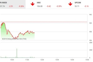Phiên sáng 14/12: Cổ phiếu P khởi sắc, thị trường vẫn chìm trong sắc đỏ