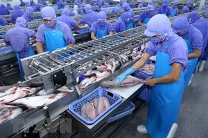 Cổ phiếu cần quan tâm ngày 21/12