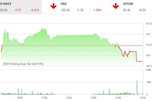 Phiên chiều 24/12: VN-Index thủng mốc 910 điểm, đột biến HAI