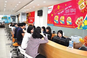 Fiditour (FDT) tạm ứng cổ tức bằng tiền mặt, tỷ lệ 10%