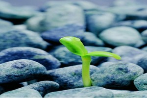 Nhìn lại “Gia Cát Dự” nhận định chứng khoán tuần qua