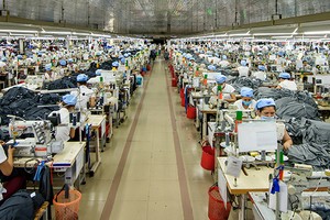 Dệt may Huế (HDM) bị xử phạt 60 triệu đồng vì phạm lỗi công bố thông tin