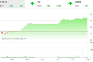 Phiên chiều 20/5: Cổ phiếu lớn “nhấc” VN-Index vượt mốc 985 điểm