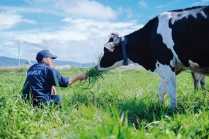 Vinamilk (VNM) tiếp tục chi gần 3.500 tỷ đồng tạm ứng cổ tức đợt 1/2019