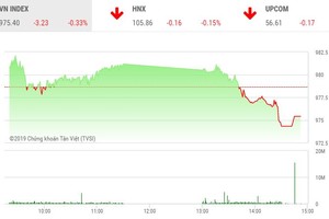 Phiên chiều 12/7: Lực bán gia tăng, VN-Index suýt mất mốc 975 điểm