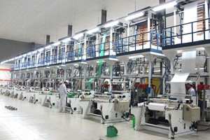 Nhựa An Phát Xanh (AAA) tạm ứng cổ tức 5% bằng tiền mặt