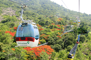 Cáp treo Núi Bà Tây Ninh (TCT) bất ngờ trả cổ tức, 20% bằng tiền mặt