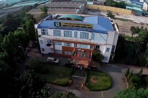 Ngân Sơn (NST) sắp trả cổ tức cao nhất trong 4 năm qua