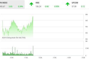 Phiên sáng 14/10: Cổ phiếu đầu cơ dậy sóng