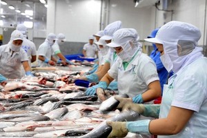 Cổ phiếu cần quan tâm ngày 21/10