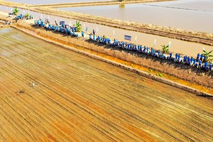 Lộc Trời trình diễn phun thuốc trên lúa bằng thiết bị bay không người lái