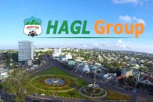 HAGL Group (HAG): Quý III/2019, lợi nhuận sau thuế âm 560 tỷ đồng