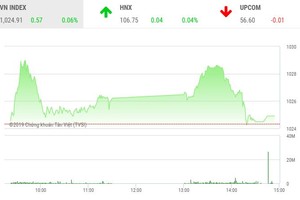 Phiên chiều 6/11: Nhọc nhằn giữ nhịp thị trường