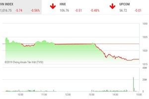 Phiên chiều 11/11: Lực bán lan rộng, sắc đỏ bao phủ bảng điện tử