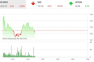 Phiên sáng 11/11: Thị trường phân hóa, VN-Index tiếp tục điều chỉnh nhẹ