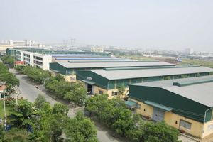 Khu công nghiệp Cao su Bình Long (MH3) tạm ứng cổ tức bằng tiền mặt, tỷ lệ 50%